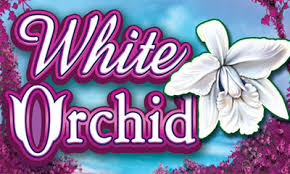 White Orchard