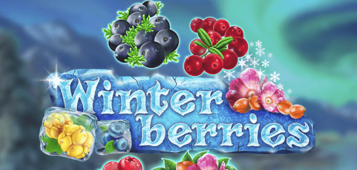 winter-berries